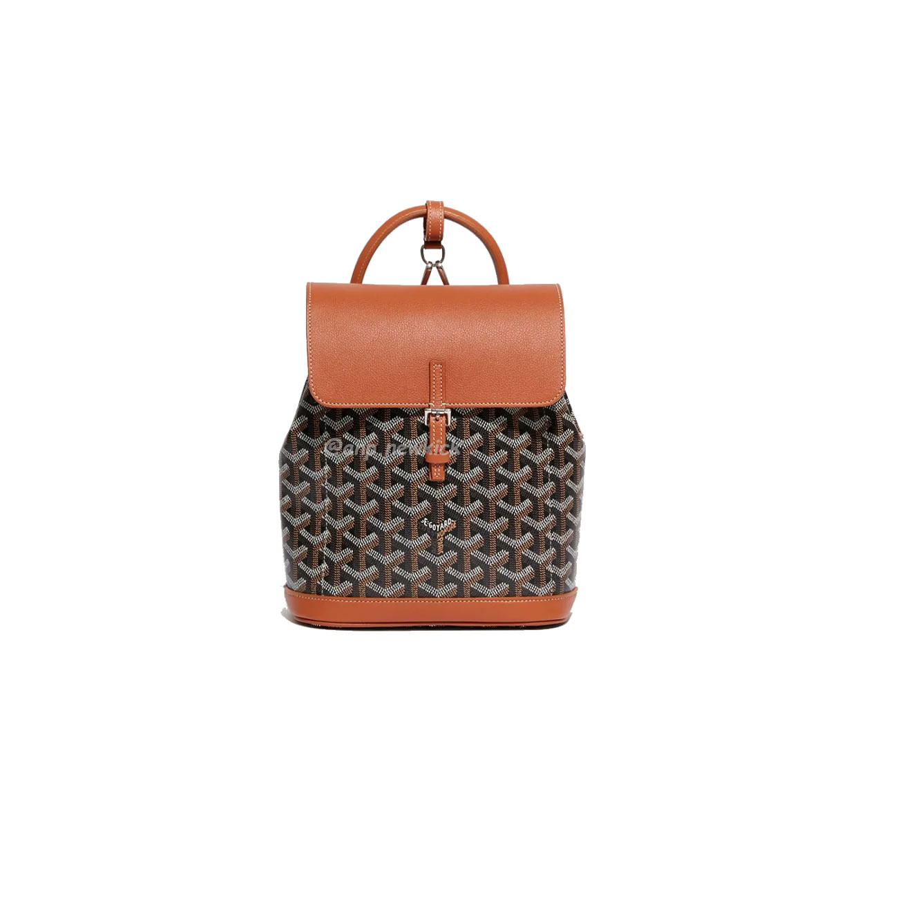 Goyard Alpin Mini Backpack 23 Cm X 9.5 Cm X 19 Cm (4) - www.newkick.vip
